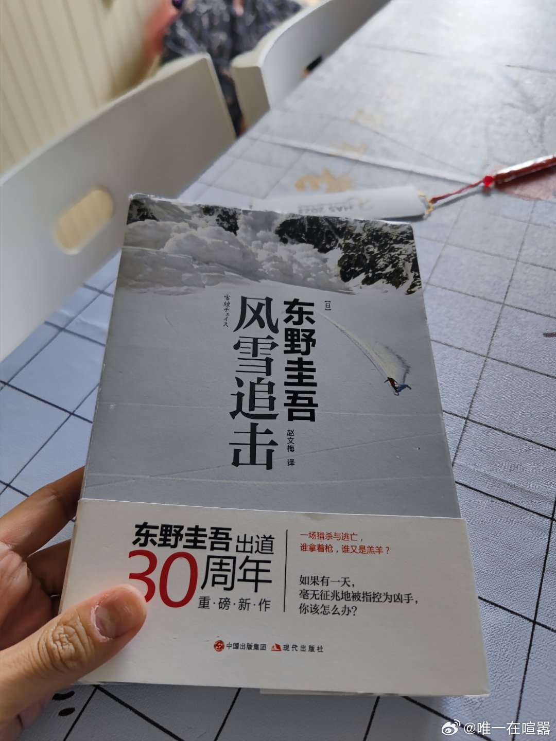 东野圭吾2024年最新力作，深度探索人性与社会变迁