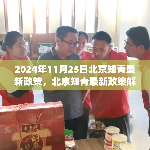 知青最新政策出台2024，回顾与展望