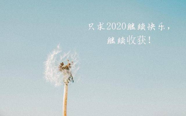 2024最新说说分享快乐时光，探寻开心世界